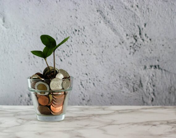 green plant in clear glass cup